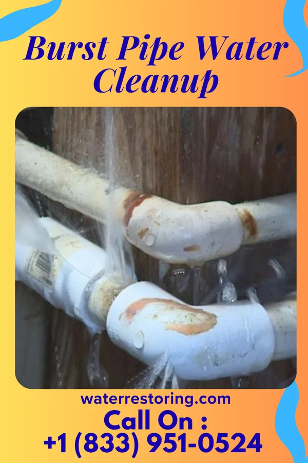 Burst Pipe Water Cleanup in Bradshaw, NE