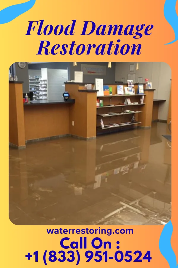 Flood Damage Restoration in Bradshaw, NE