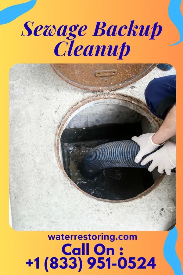 Sewage Backup Cleanup in Bradshaw, NE