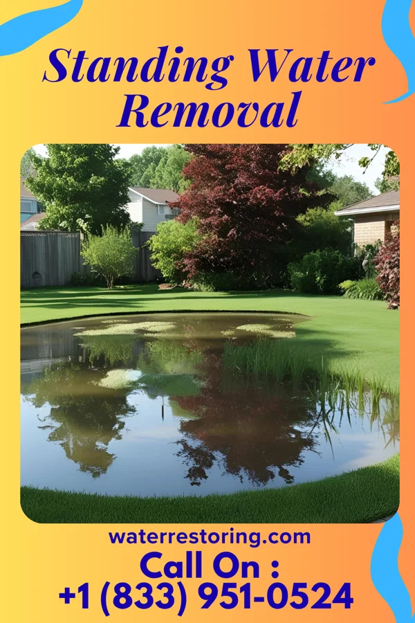 Standing Water Removal in Bradshaw, NE